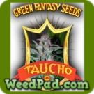 Taucho Seeds