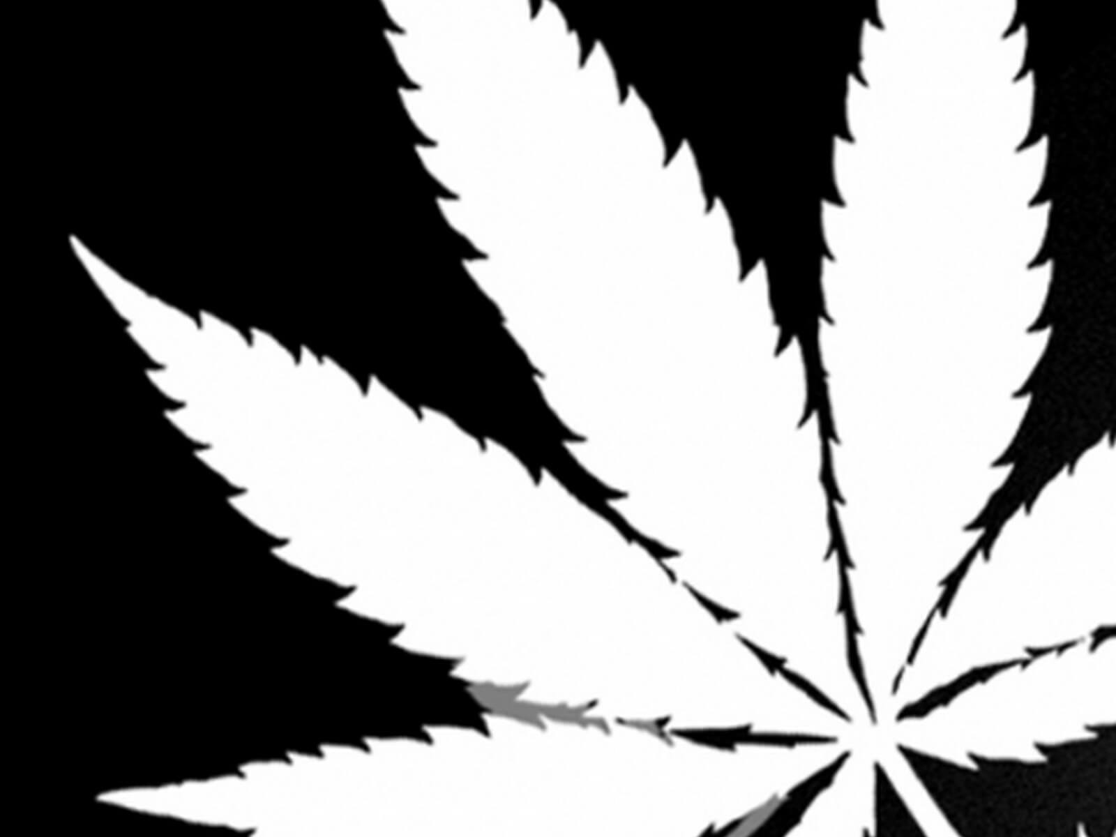 Big FN Cannabis Leaf BW