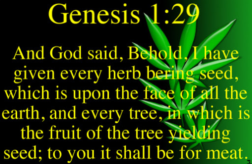 Genesis 1 29