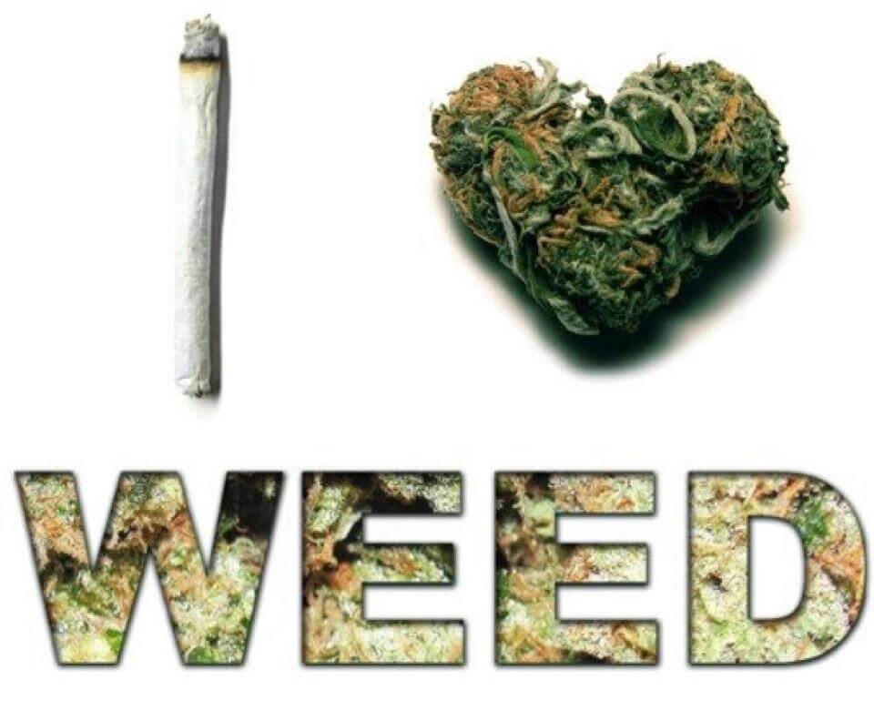 I Love Weed Infographic I Love Weed