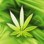 Nice Marijuana Wallpaper HD