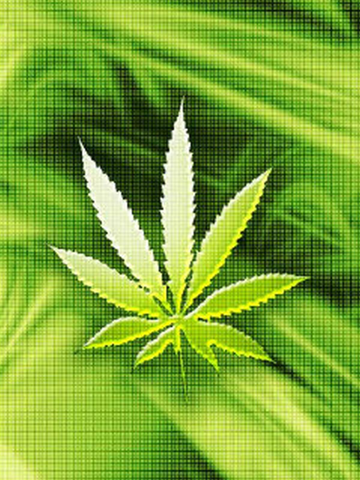 Nice Marijuana Wallpaper HD