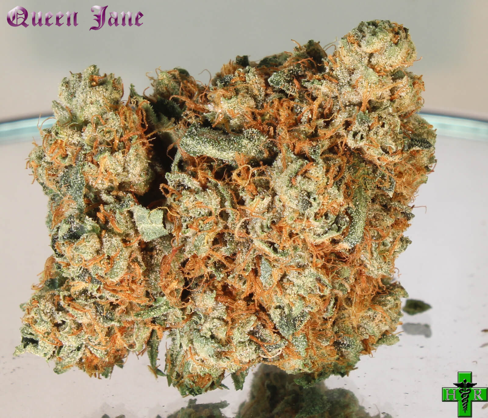 Queen Jane Hd Marijuana Picture