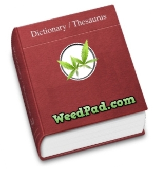 Marijuana Glossary Terms