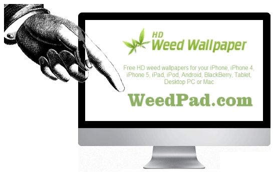 WeedPad Sitemap