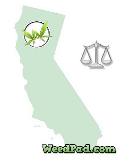 California Compassionate Use Act
