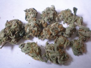 Master Kush marijuana strain