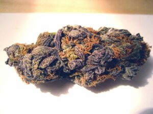 Purple Princess marijuana strain