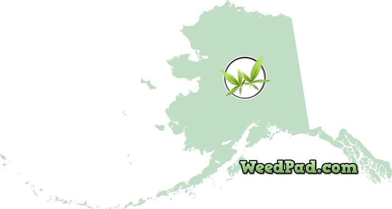 Alaska medical marijuana patients license