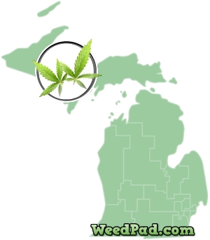 Michigan Medical Marijuana License