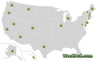 Legal Medical Marijuana States