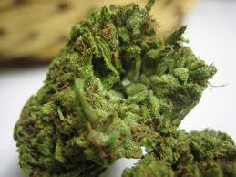 Fruity Pebbles marijuana strain