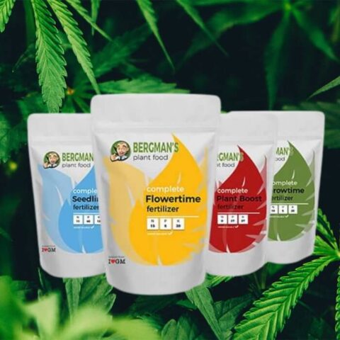 Marijuana Plant Nutrients