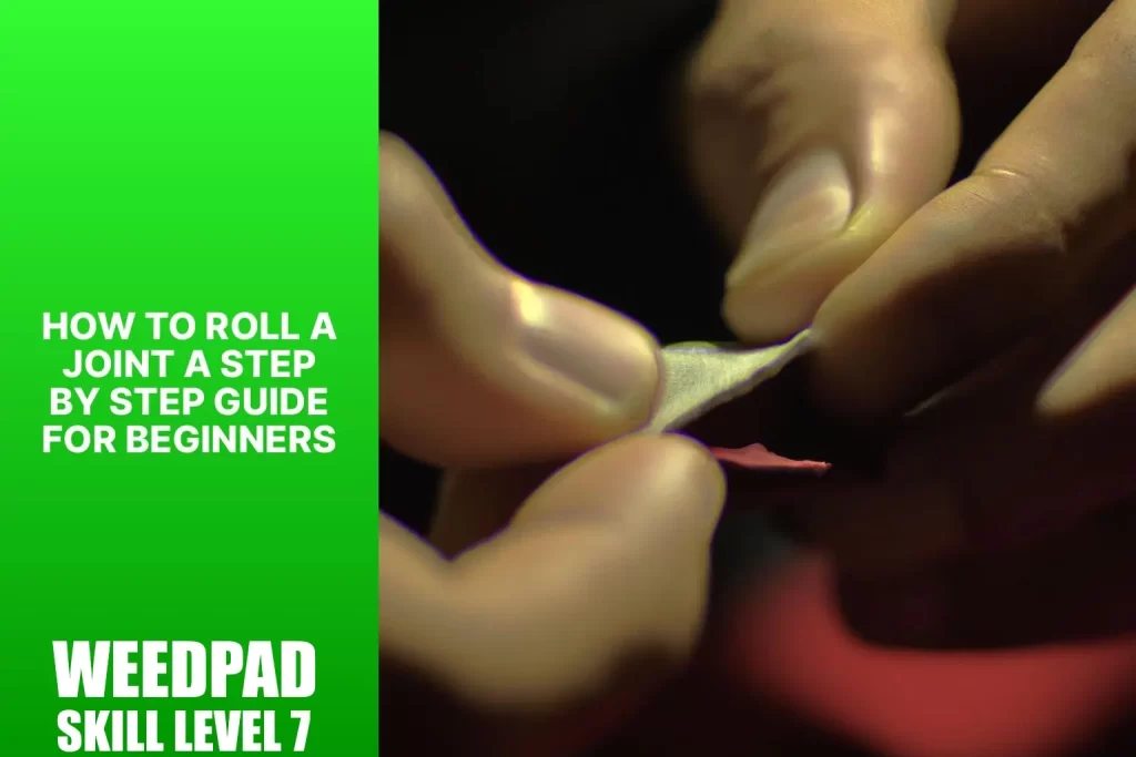 How to roll a joint in 4 easy steps